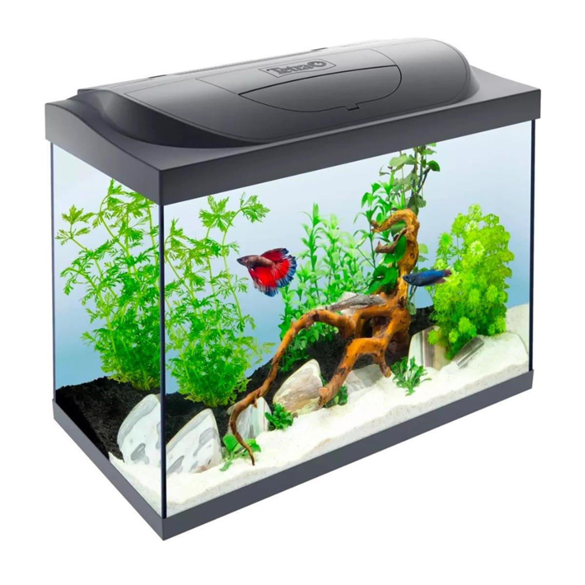 TETRA STARTER LINE LED 80 L AKVARYUM4004218305632