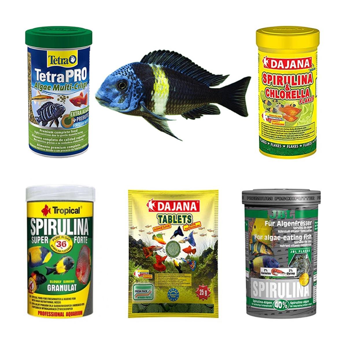 Tropheus Ciklet Balıklarına Özel Yem Paketi (AÇIK YEM)Tropheuscikletpaket