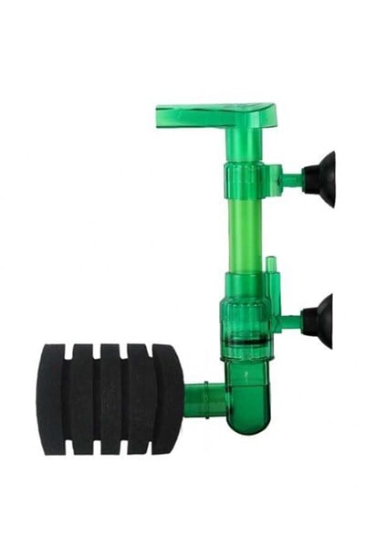 XY-2895 BİYOLOJİK SÜNGER