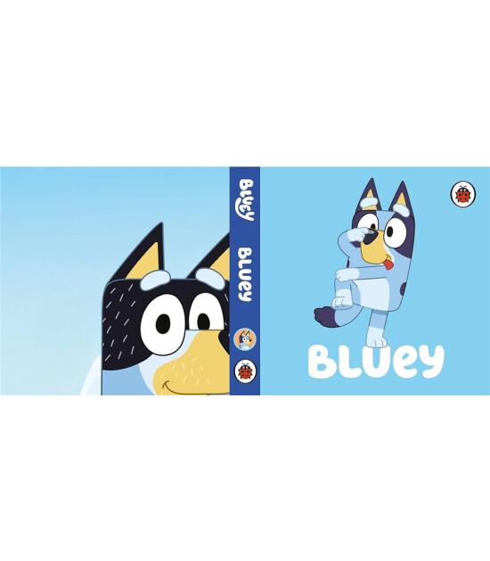 Bluey: Little Library