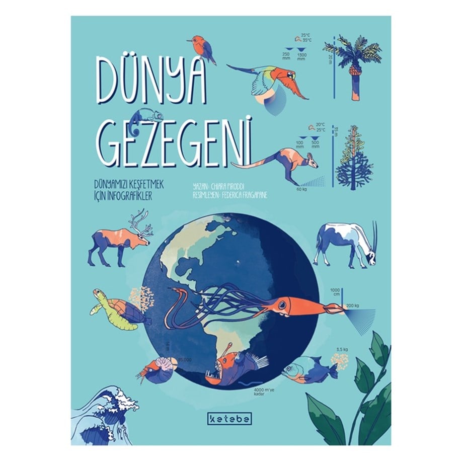 DÜNYA GEZEGENİ