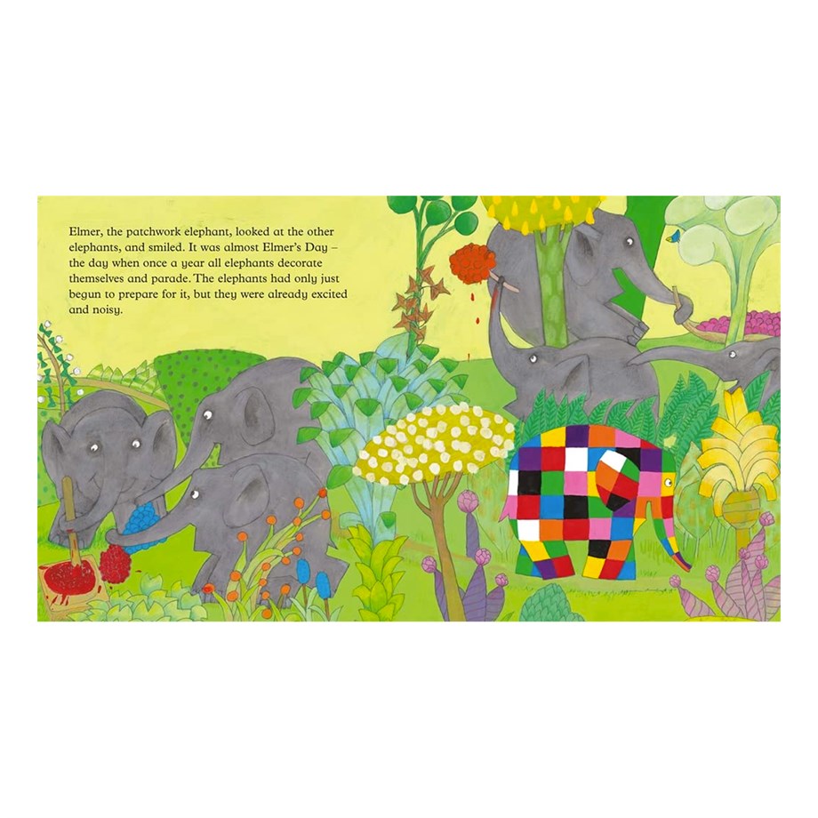 ELMER S SPECIAL DAY