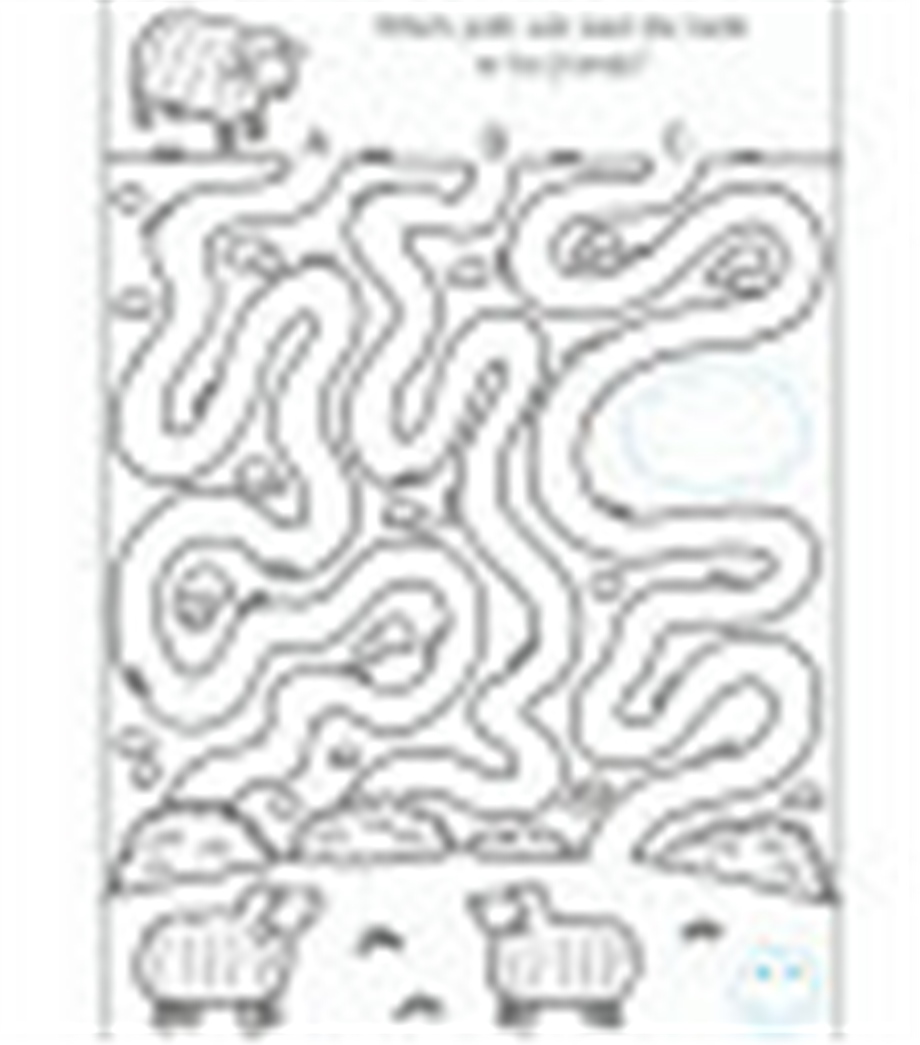 First Activity Book 5 Yaş+