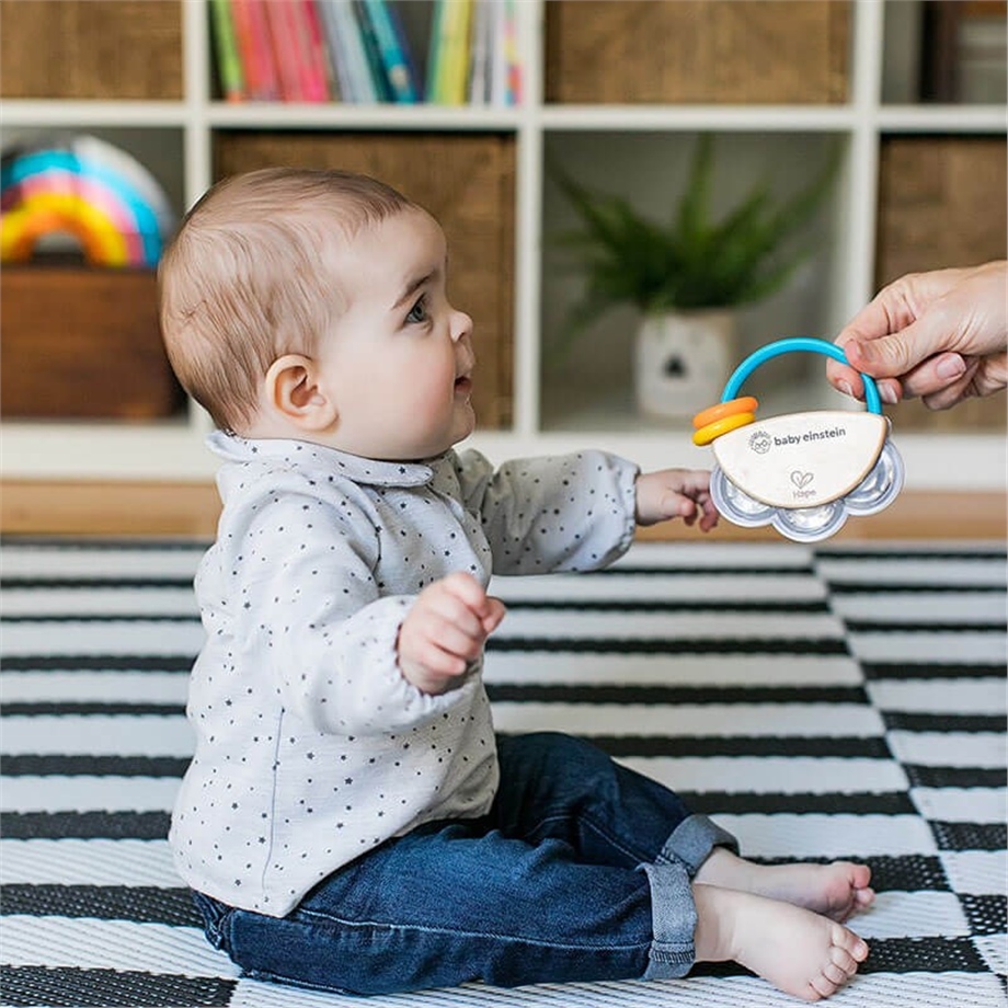 Hape Tiny Tambourine Oyuncak Ahşap Tef 