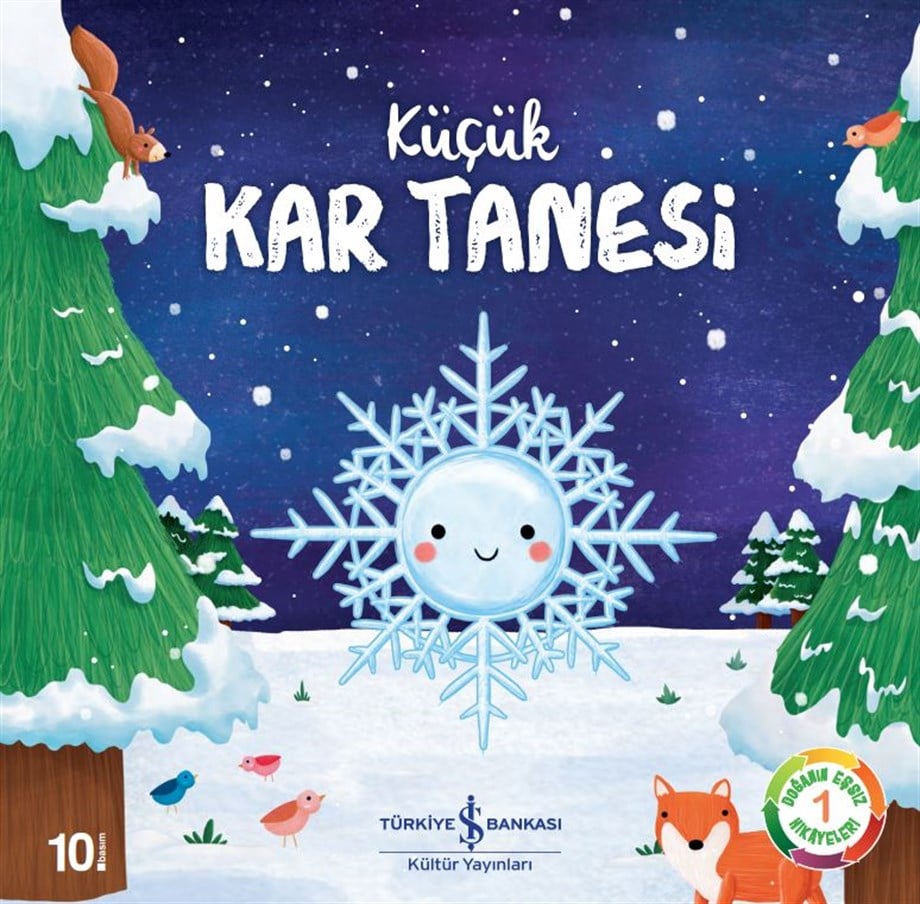 KÜÇÜK KAR TANESİ