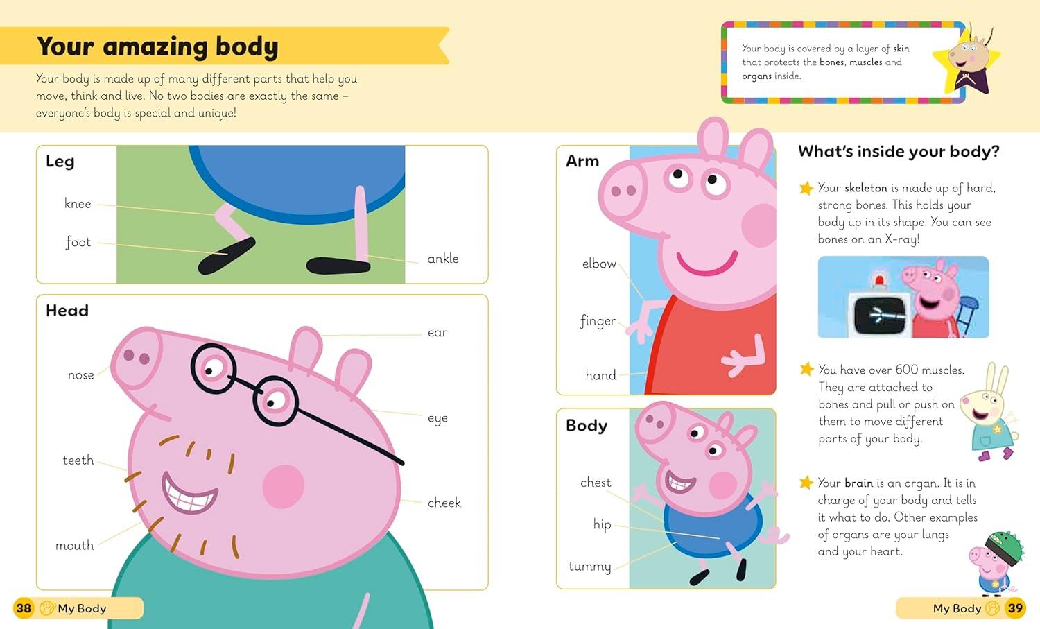 Learn with Peppa: Peppa's First Encyclopedia