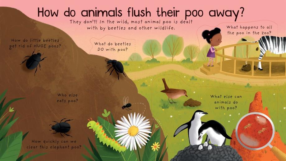 Ltf First Q&A Where Does Poo Go?