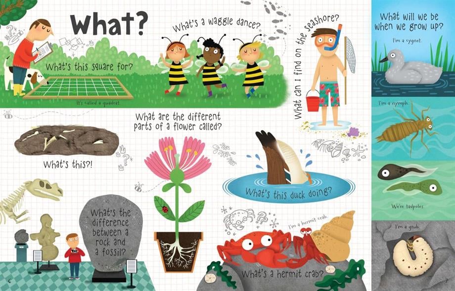 LTF Q&A about Nature