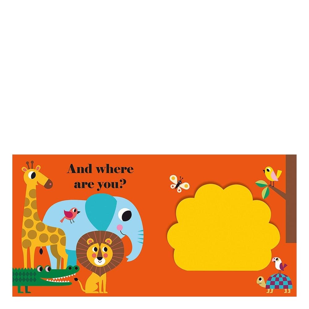 NC - Where's Mr Lion?