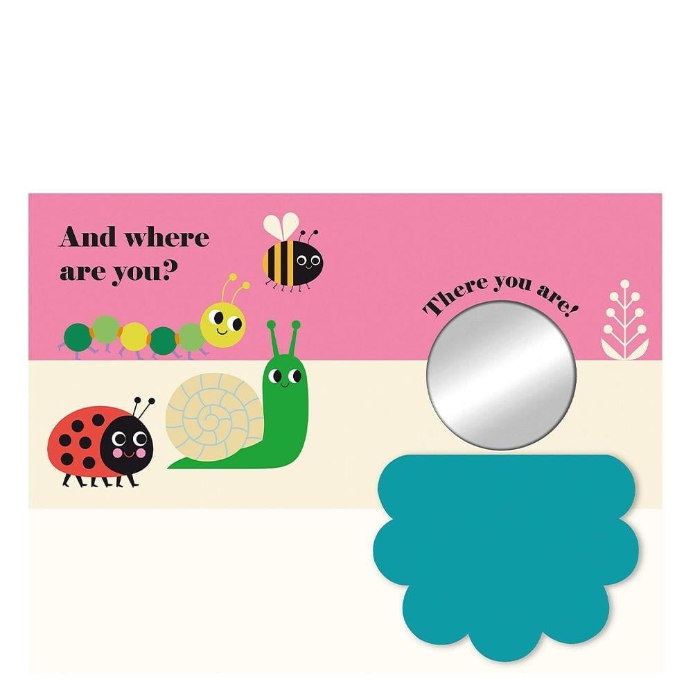 NC - Where's Mrs Ladybird?