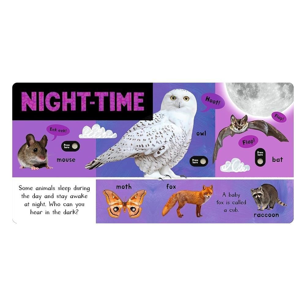 Noisy Animal World
