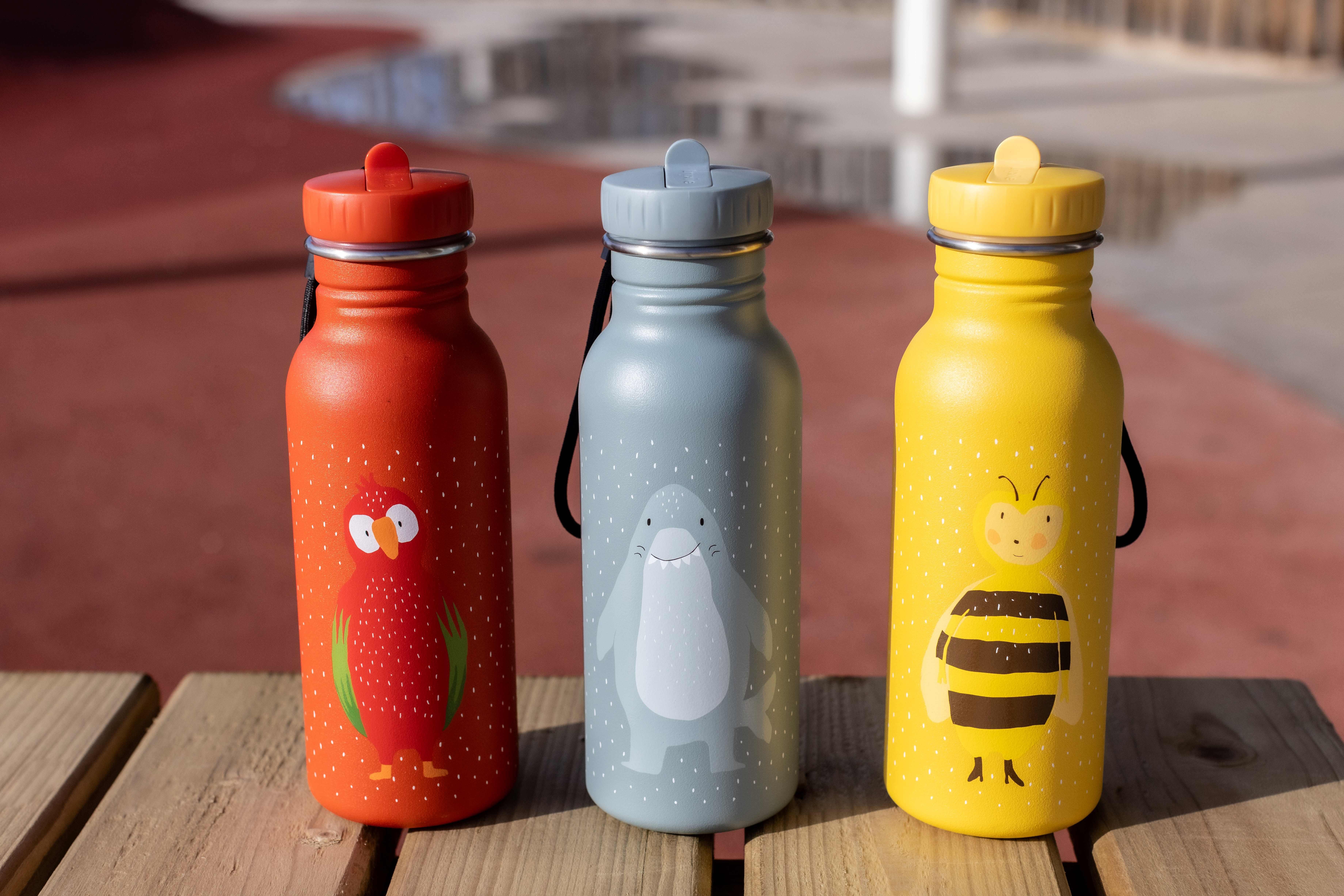 Trixie Bottle 500ml