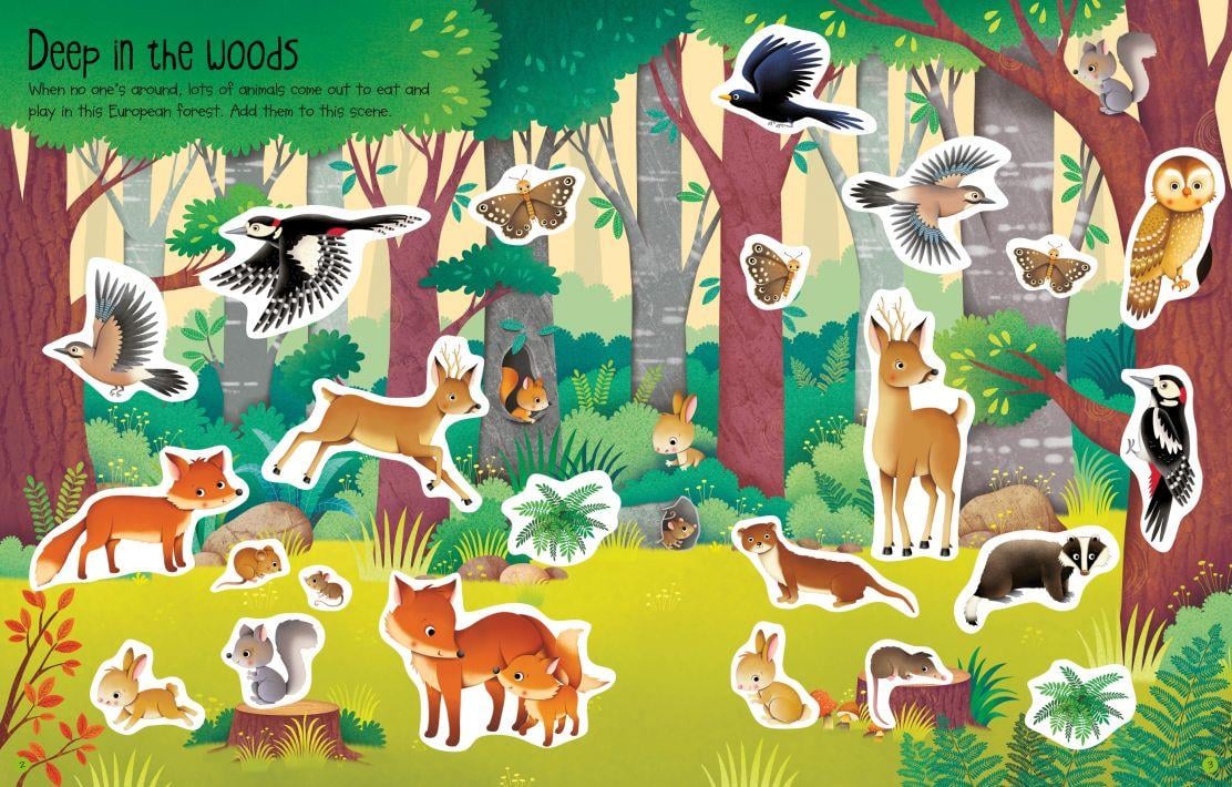Usb - First Sticker Book Nature