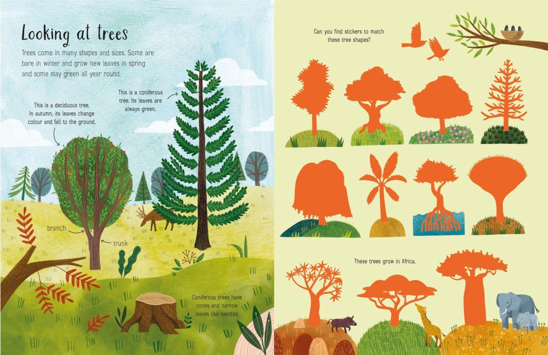 USB - First Sticker Book Trees