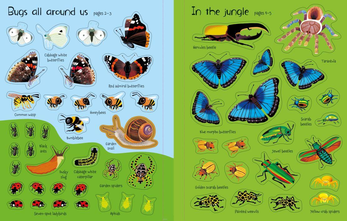 USB  - First Sticker Bugs