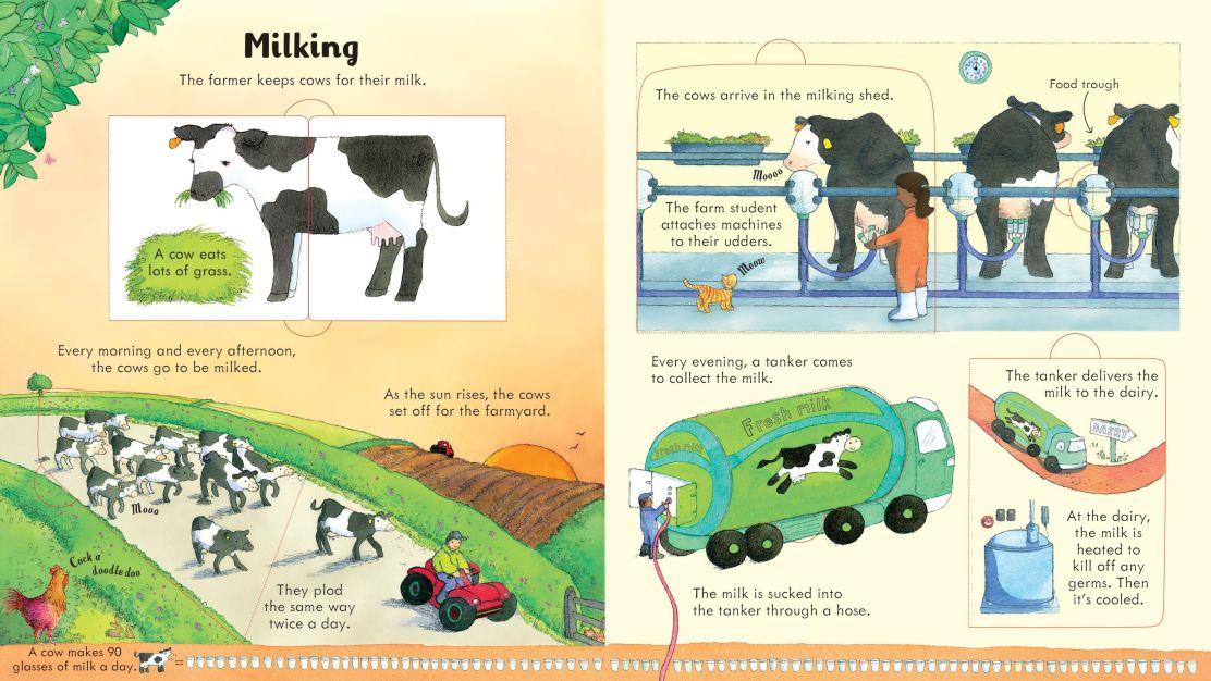 USB - Look Inside a Farm