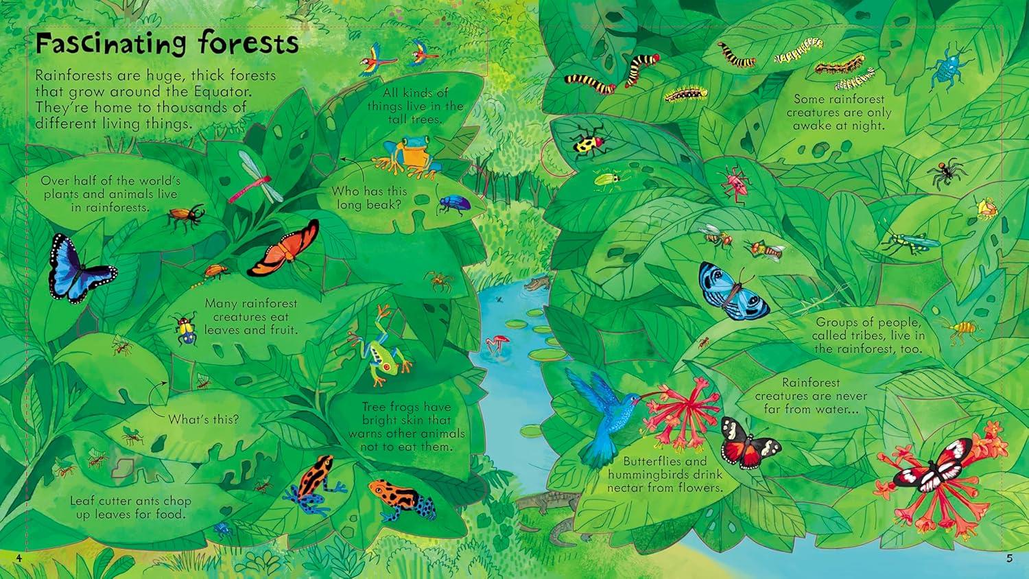 USB - Look Inside Our World