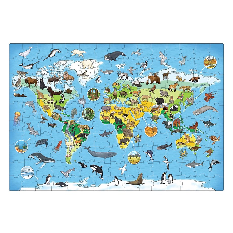 WORLD OF ANIMALS 5 - 10 YAŞ