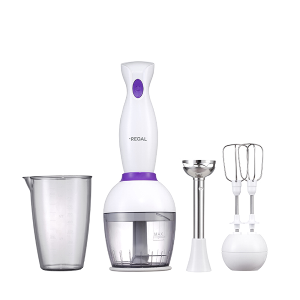 REGAL EL BLENDER SETİ REBS 1000B