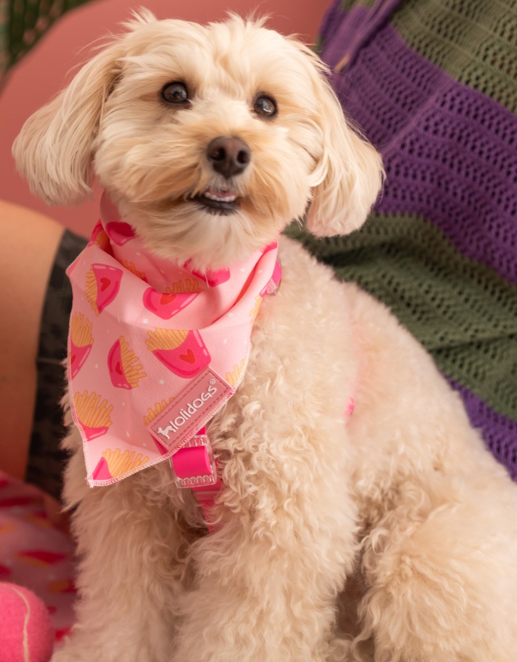 Lolidogs Fries Köpek Bandanası Pembe