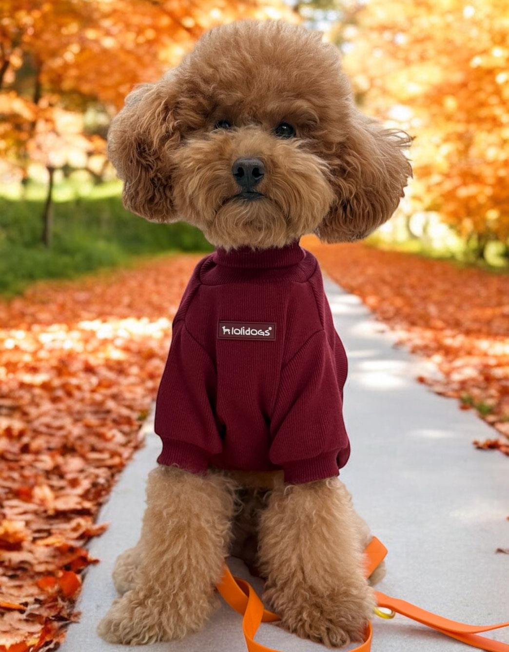 Lolidogs Balıkçı Yaka Basic Bordo