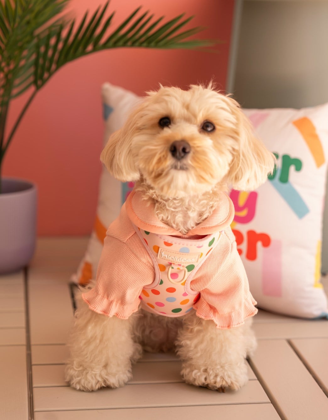 Lolidogs Basics Baby Neck | Nude