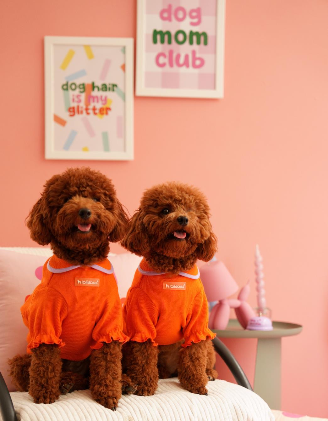 Lolidogs Basics Baby Neck | Orange