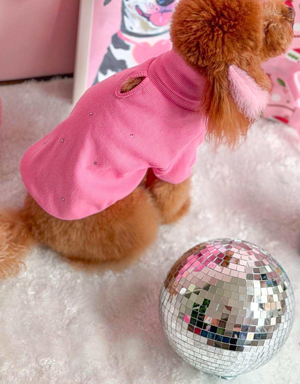 Lolidogs Basics Balıkçı Yaka | Aurora