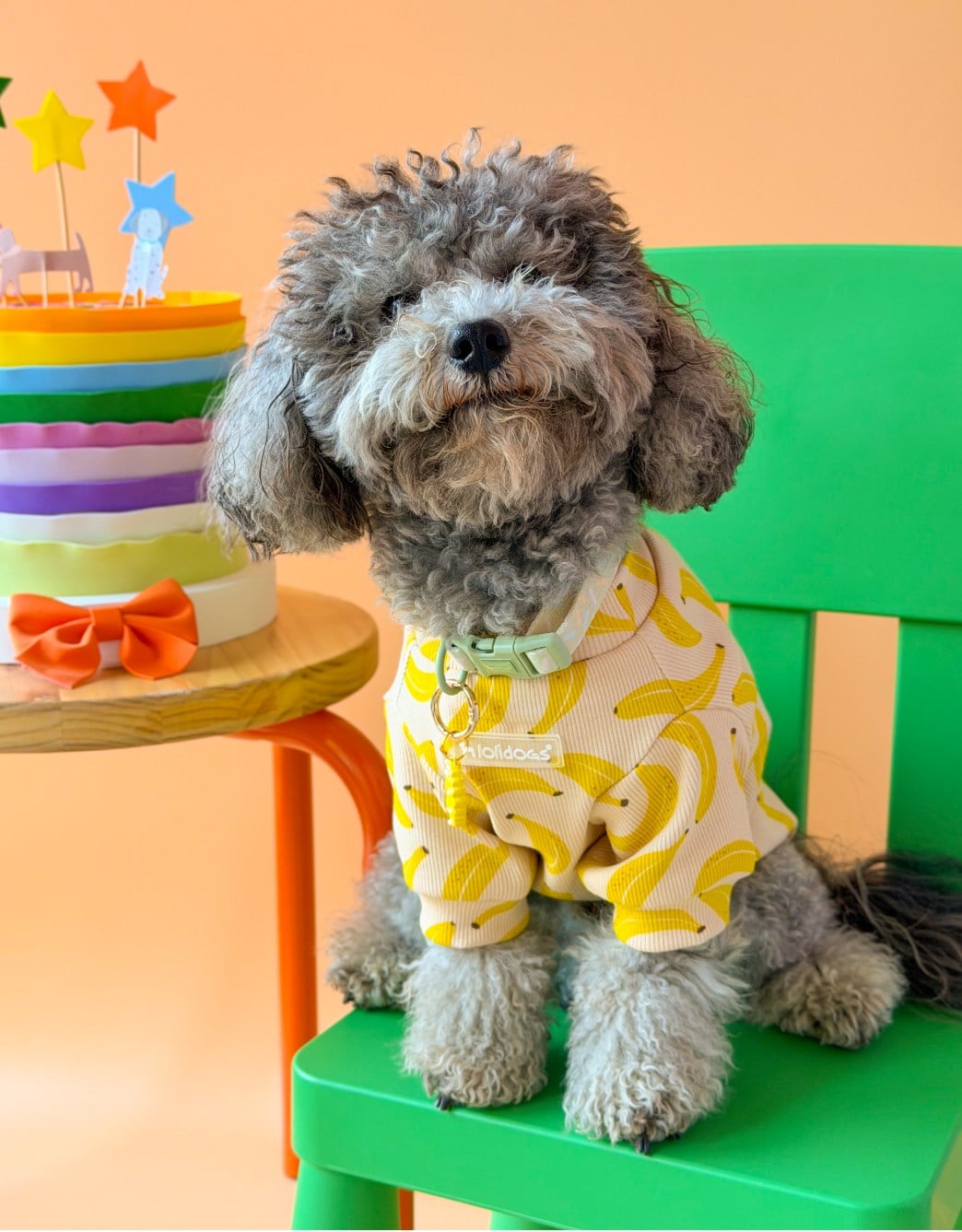 Lolidogs Basics | Banana