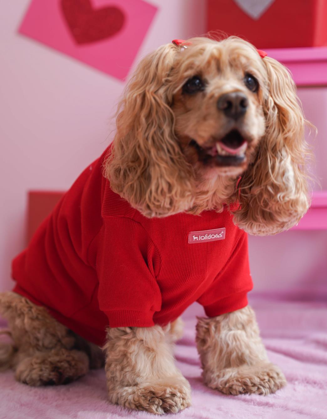 Lolidogs Basic Dog Sweatshirt Red