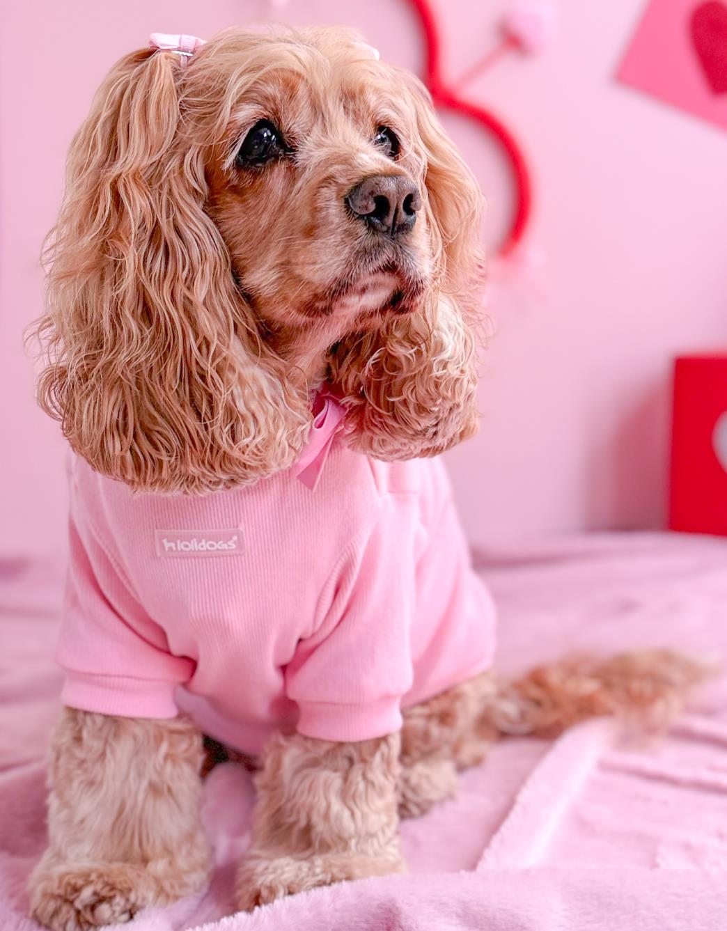 Lolidogs Basics | Cupid