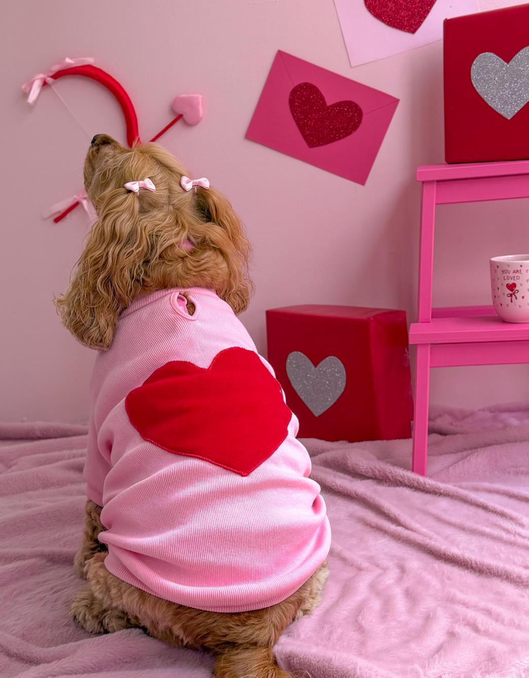 Lolidogs Basics | Cupid