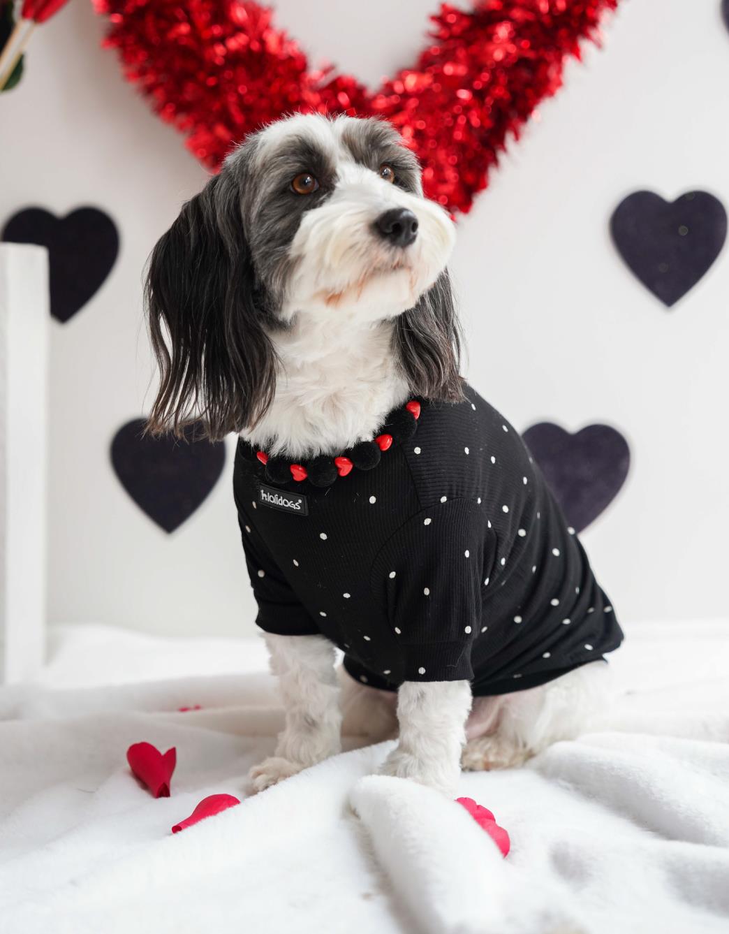 Lolidogs Basics | Dots