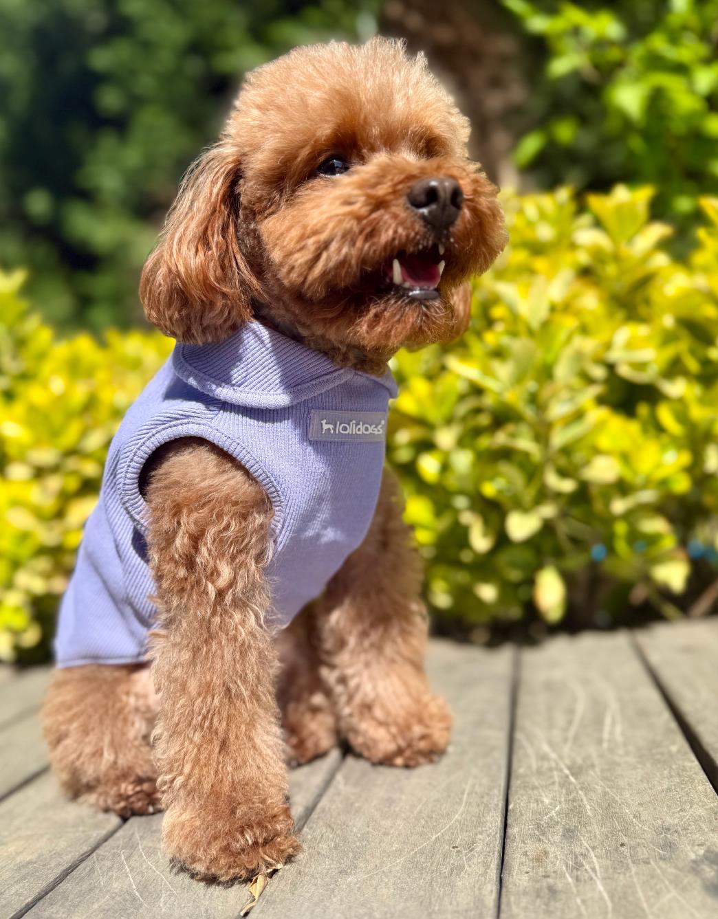 Lolidogs Basics - Kaşkorse Köpek Sweatshirtü Baby Neck Lavander