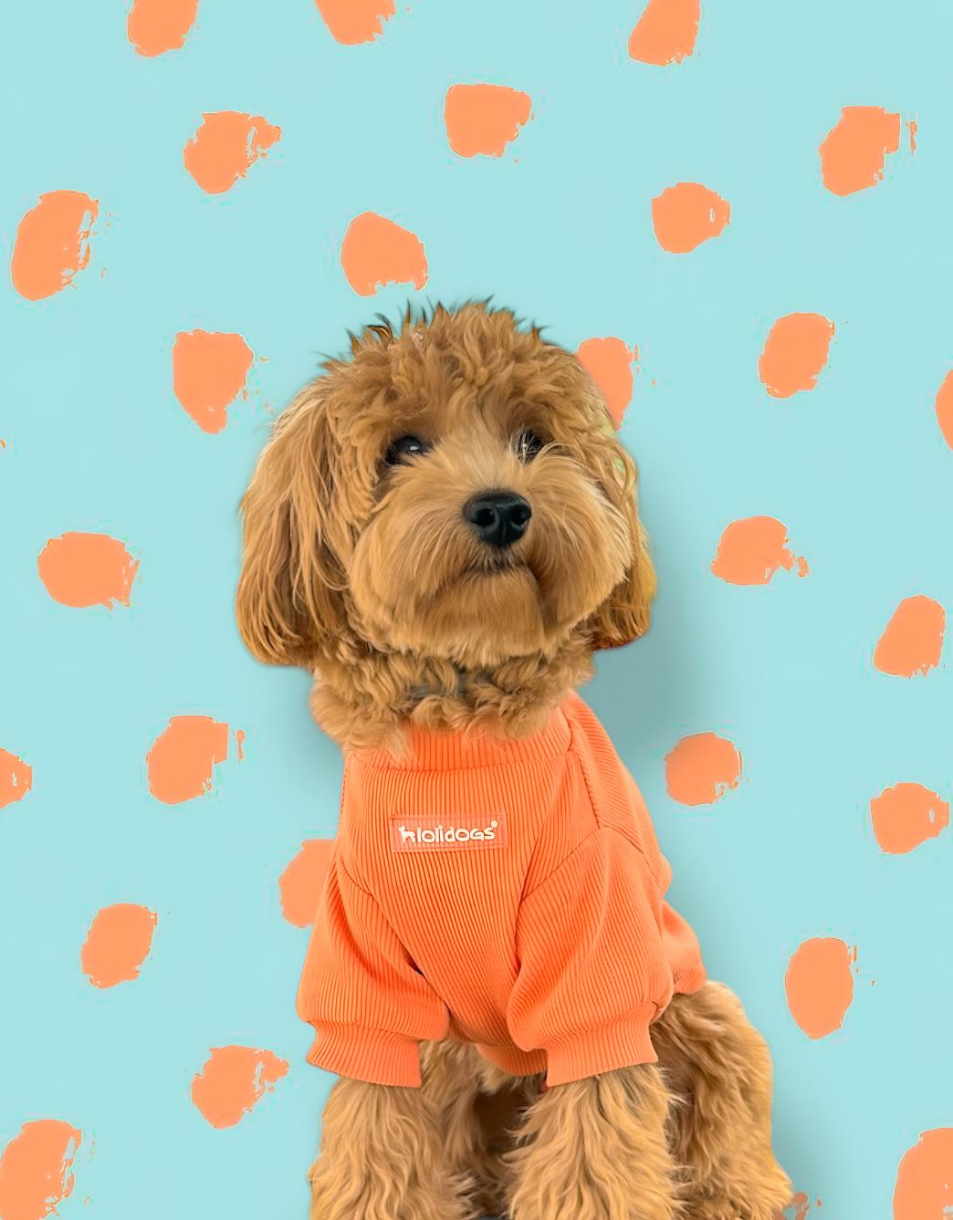 Lolidogs Basics - Kaşkorse Köpek Sweatshirtü Melon