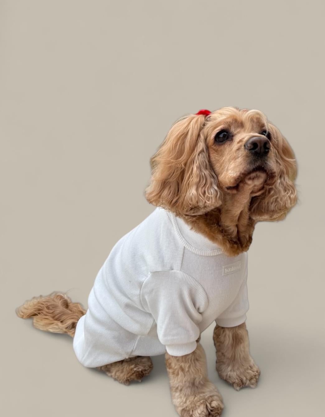 Lolidogs Basics - Kaşkorse Köpek Sweatshirtü Baby Neck Vanilla