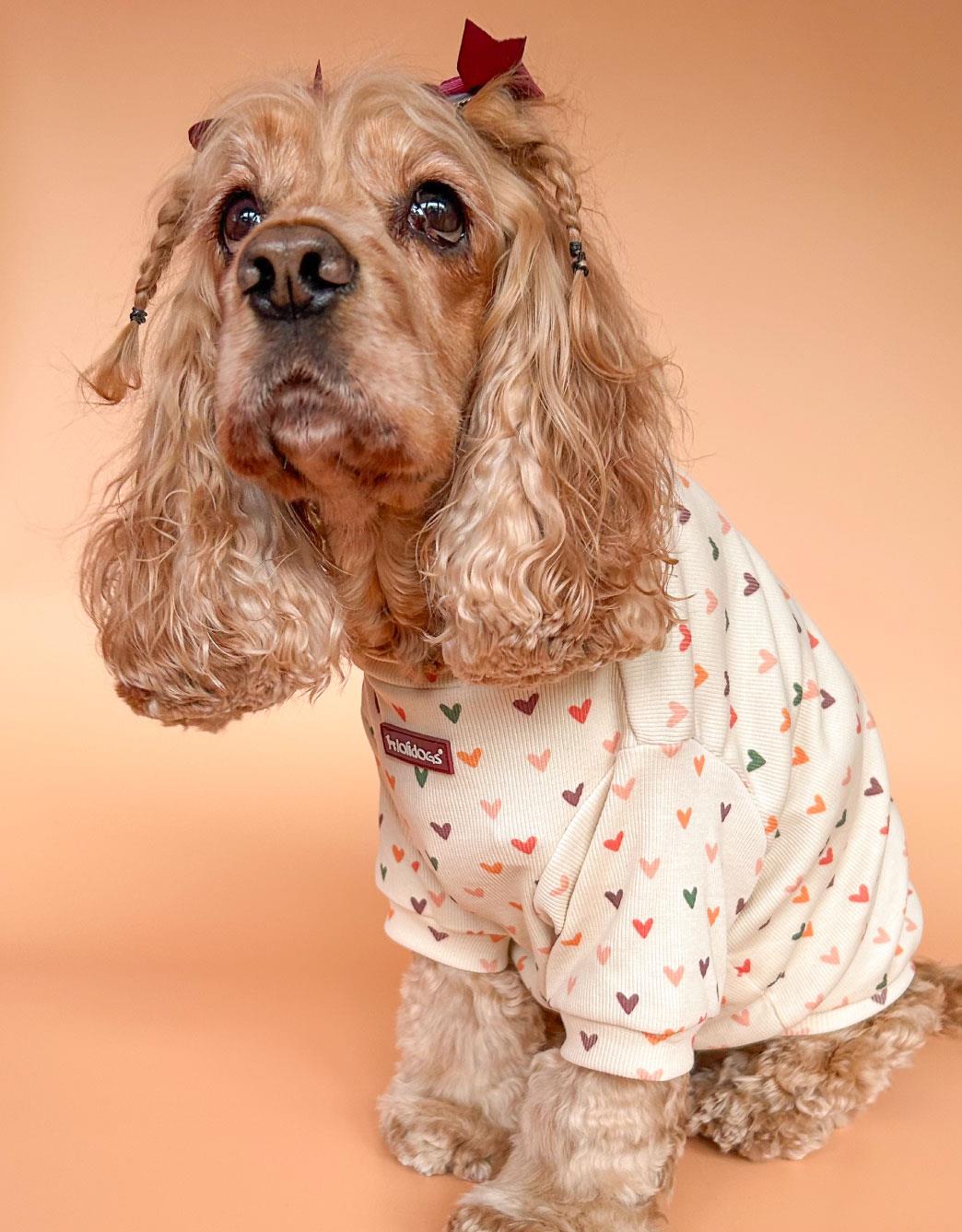 Lolidogs Basics - Kaşkorse Köpek Sweatshirtü Valentine