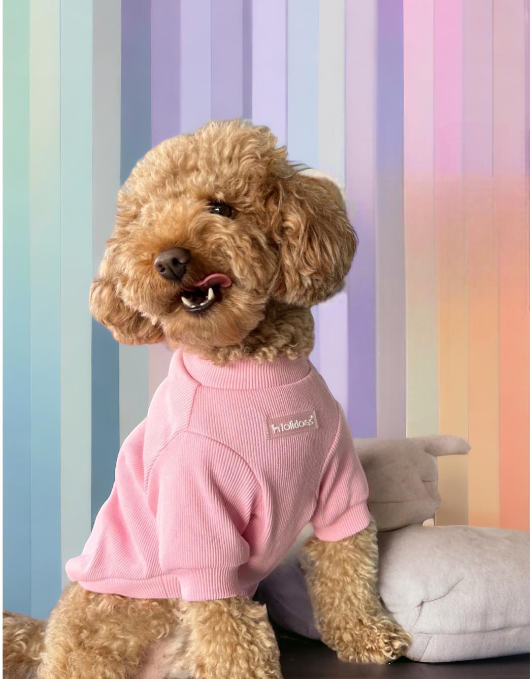 Lolidogs Basics - Kaşkorse Köpek Sweatshirtü Pastel Pink