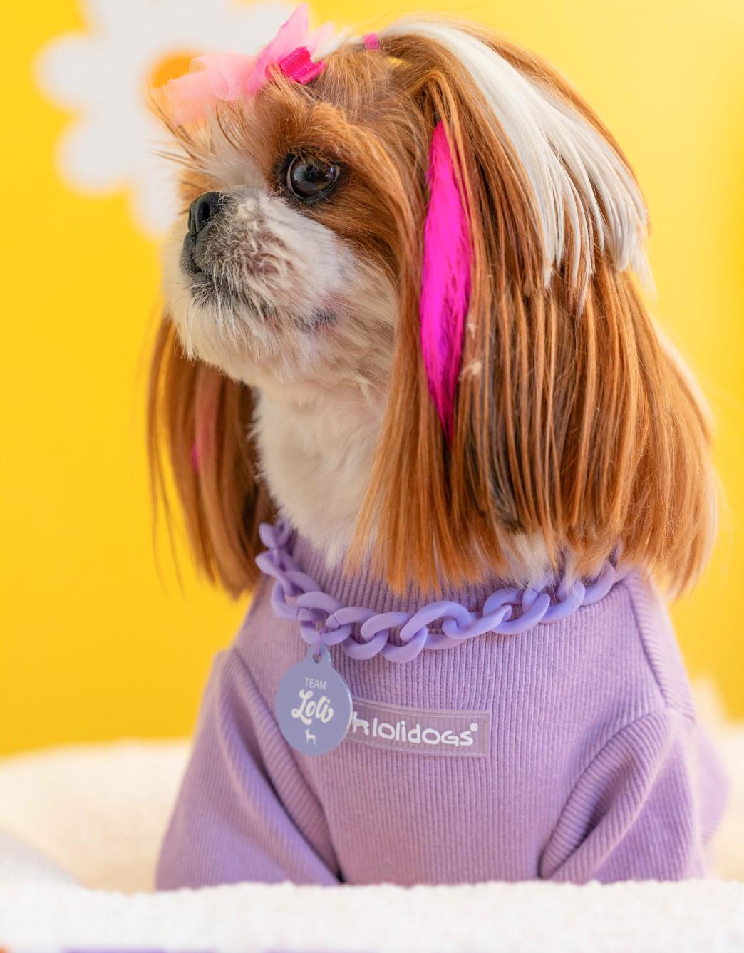 Lolidogs Basic Dog Sweatshirt Lilac