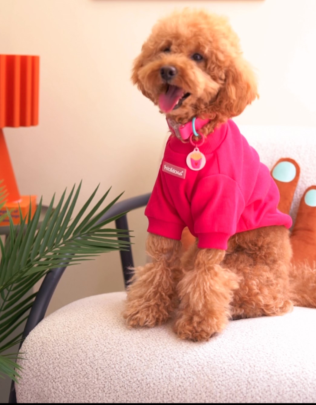 Lolidogs Basics | Magenta