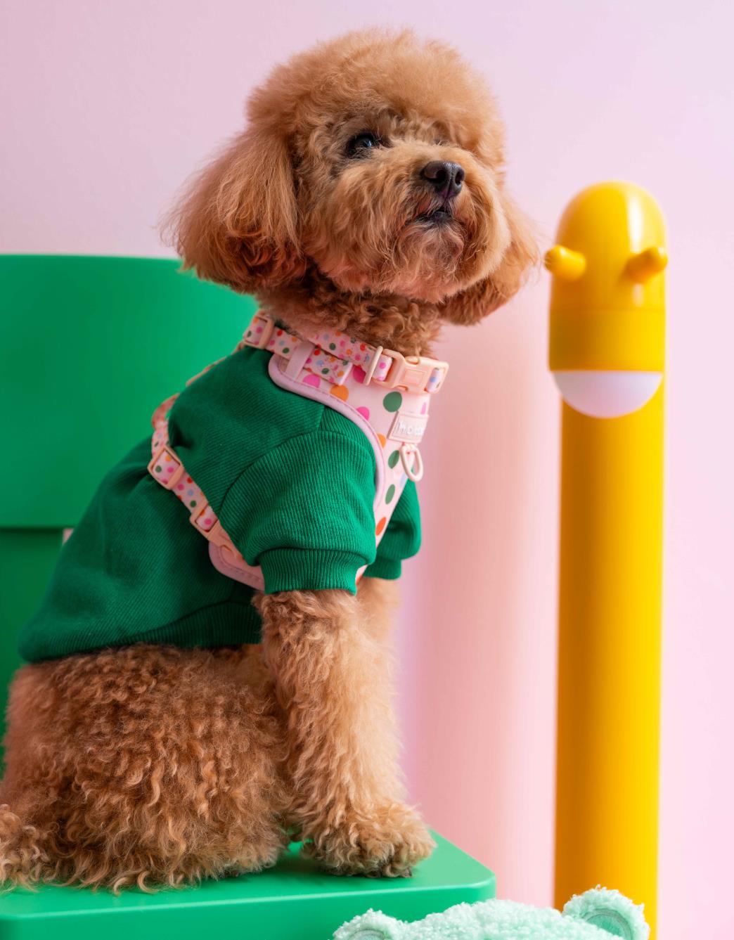 Lolidogs Basics | Moss