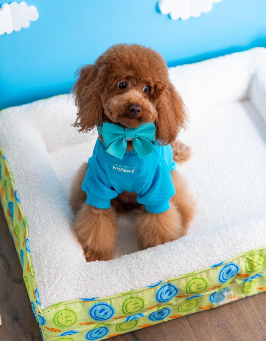 Lolidogs Basics | Ocean