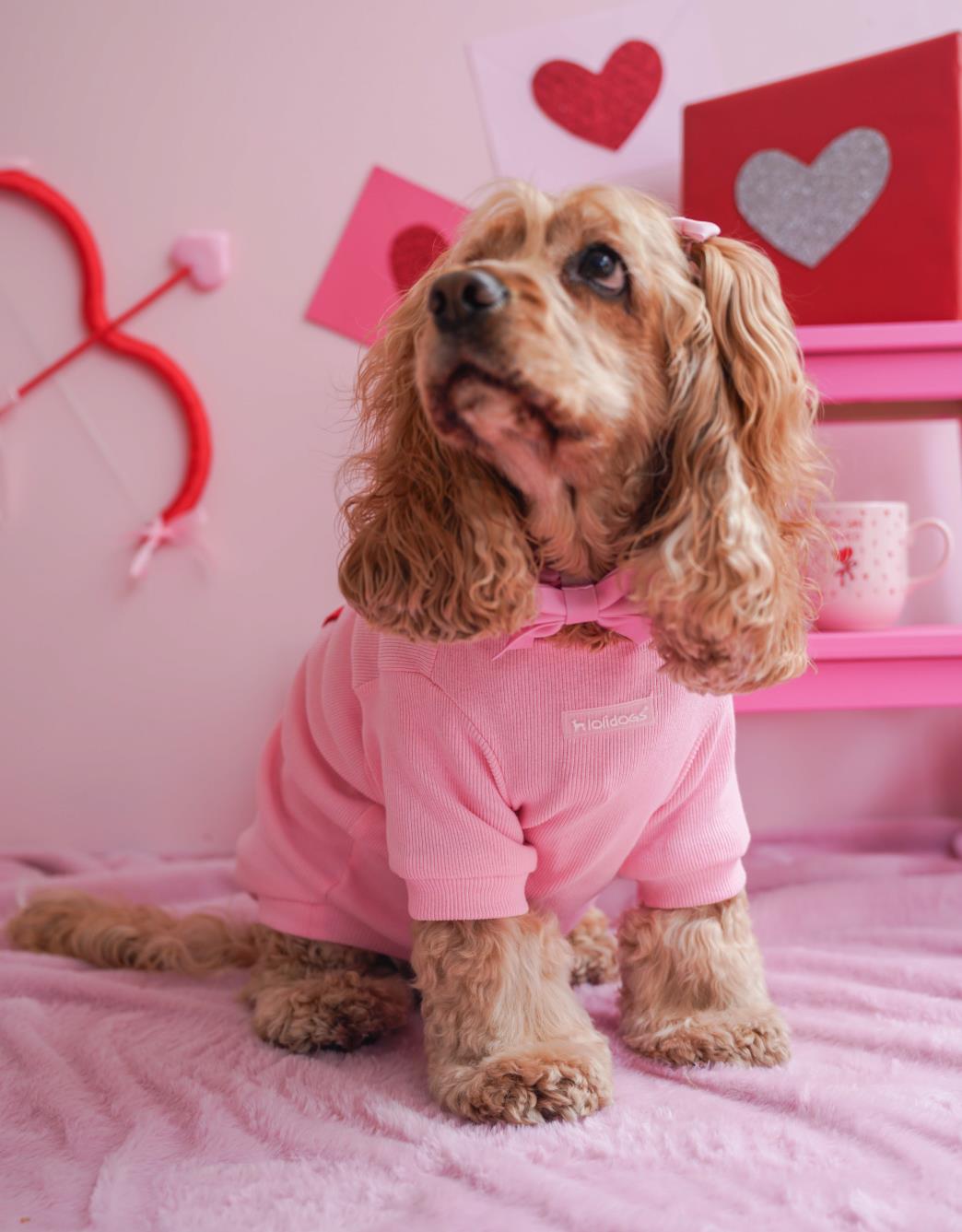 Lolidogs Basics | Pastel Pink