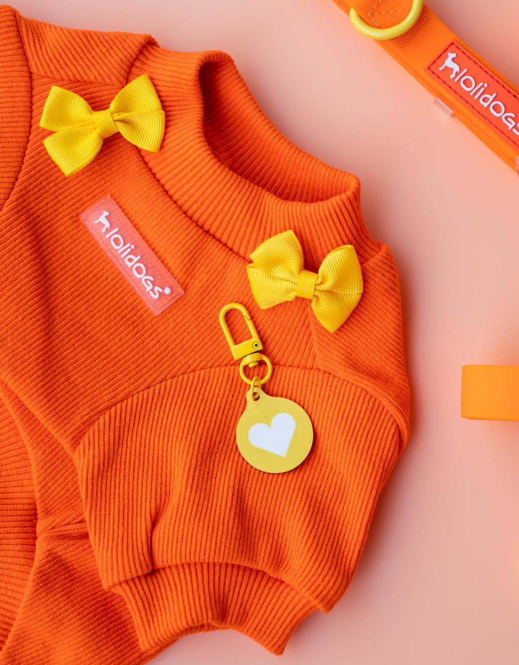 Lolidogs Basics | Pumpkin