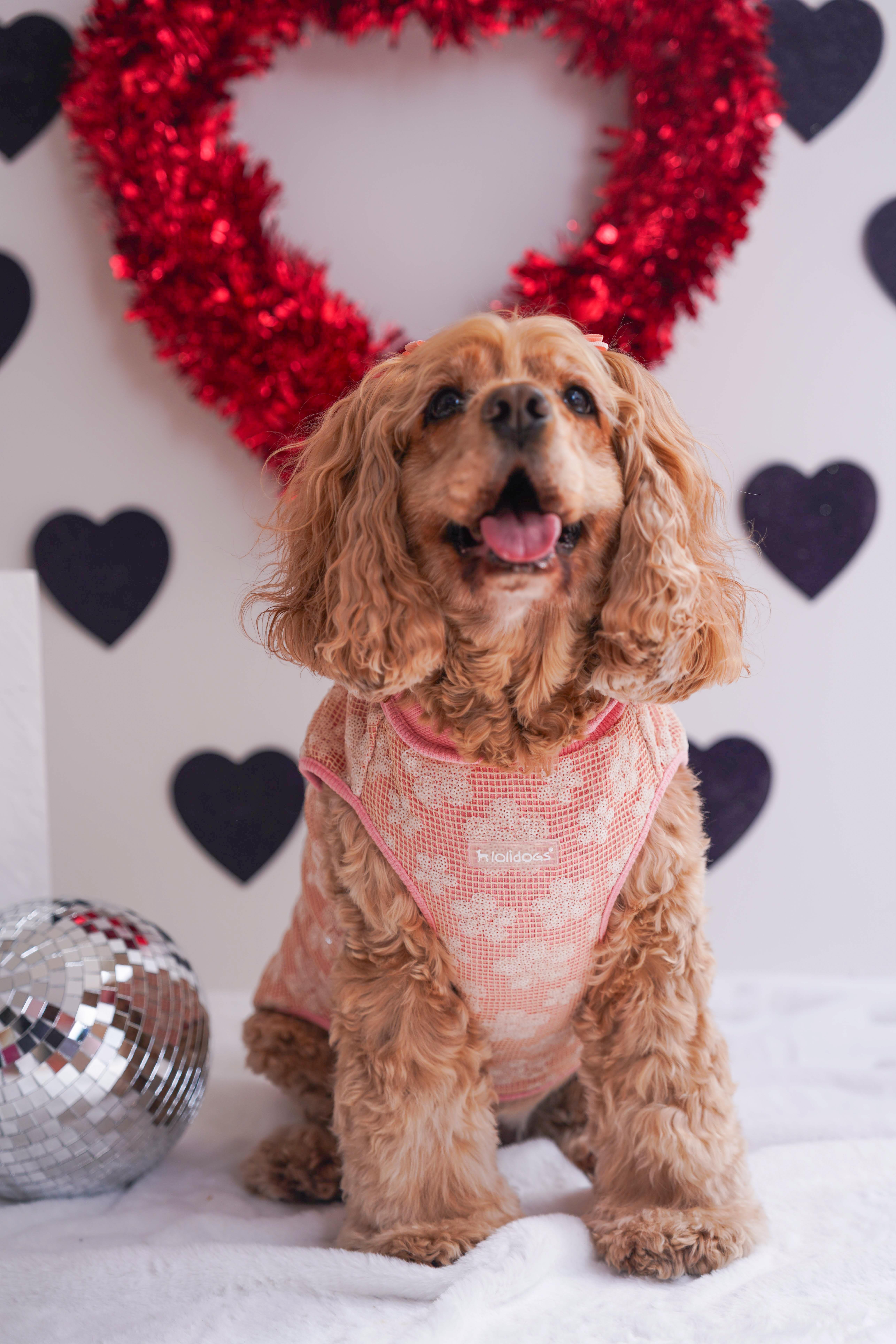 Lolidogs Basics | Sparkle Flowers