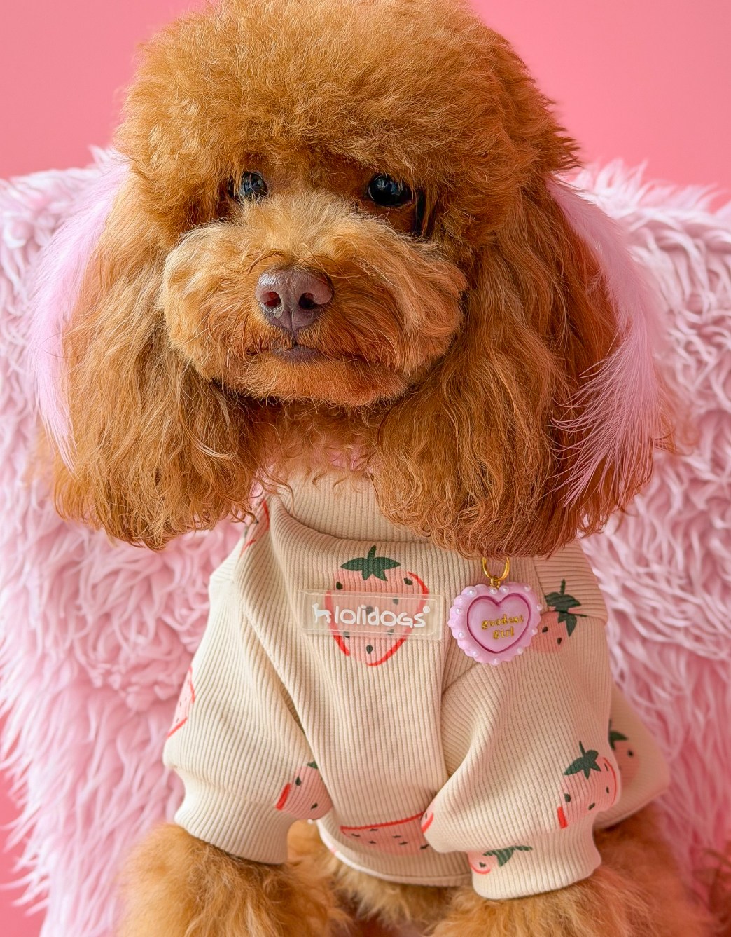 Lolidogs Basics | Strawberry