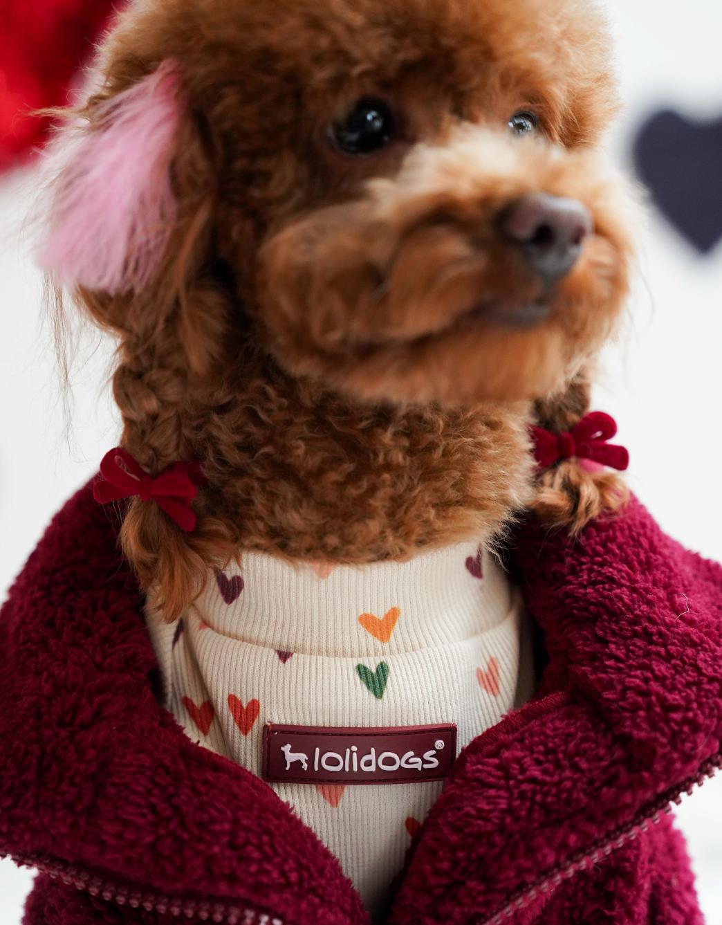 Lolidogs Basics - Kaşkorse Köpek Sweatshirtü Valentine