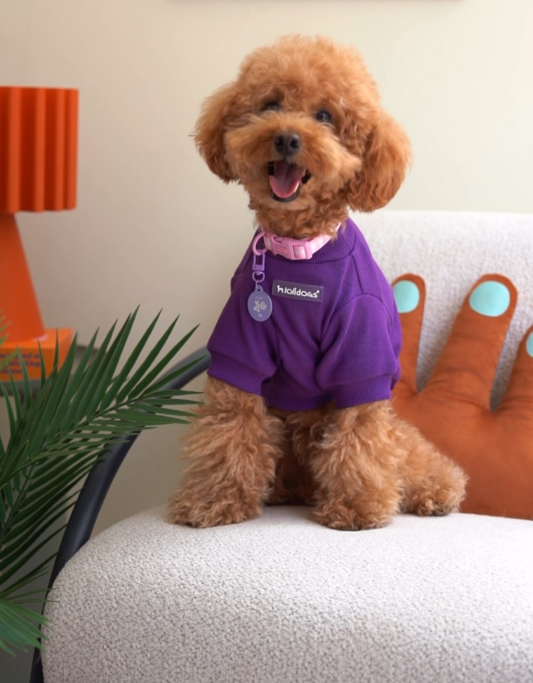 Lolidogs Basics | Violet