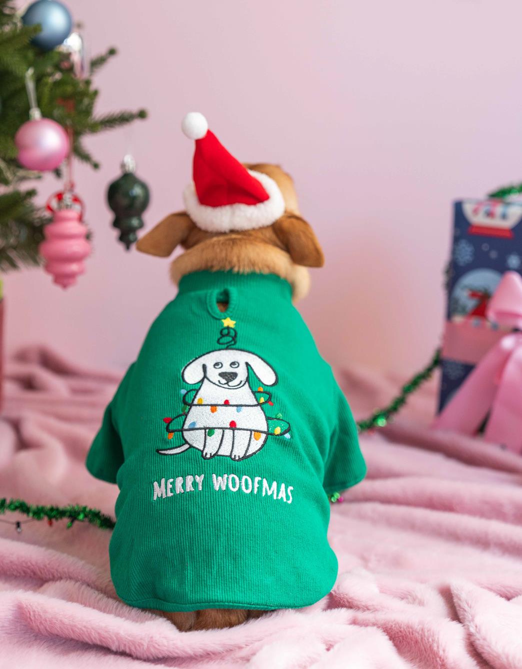 Lolidogs Basics | Woofmas