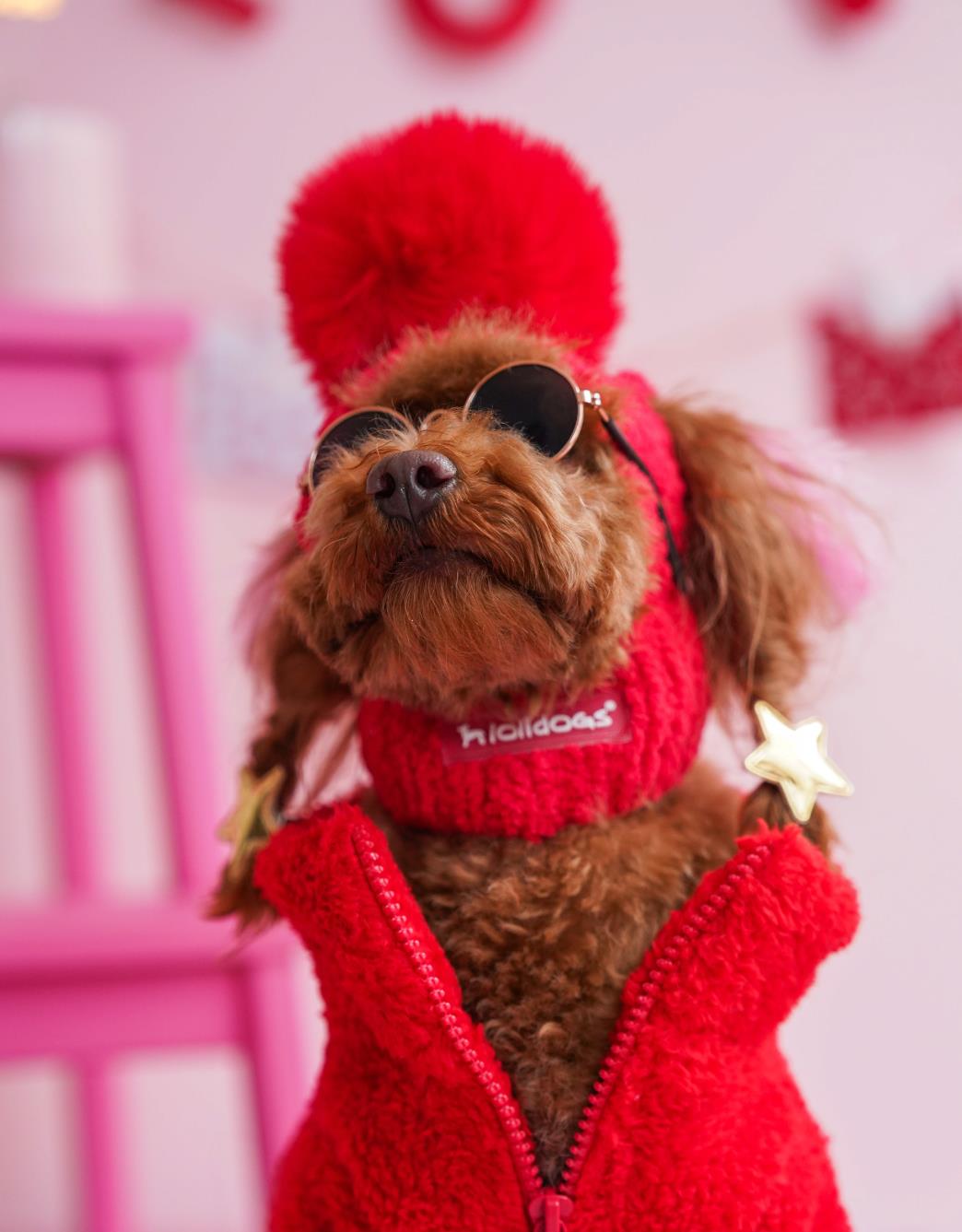 Lolidogs Köpek Beresi | Cherry